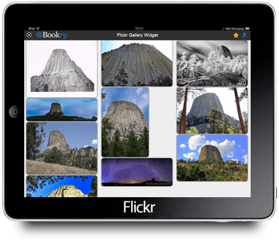 Flickr